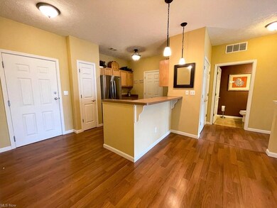 716 Aqua Marine Blvd, Avon Lake, OH 44012 - photo 5