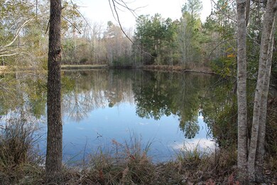 0 Highway 220 unit 449638, Lincolnton, GA 30817 - photo 5