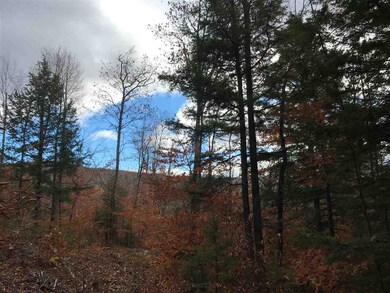 0 Timberline unit 4617964, Bartlett, NH 03812 - photo 4