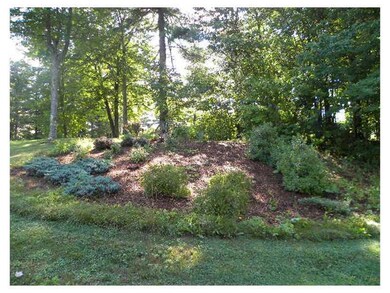 Yard/Garden.