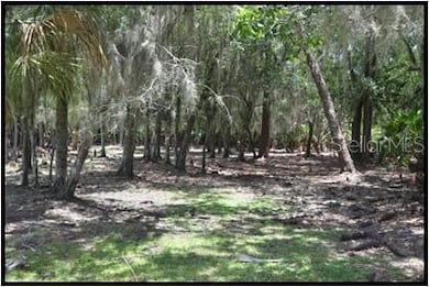 Hunting Stand