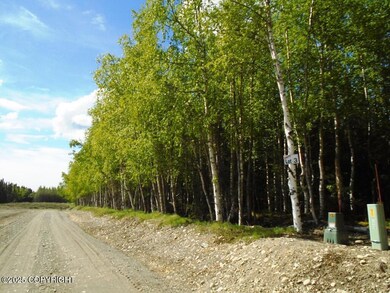 Lot 3 air strip & driveway