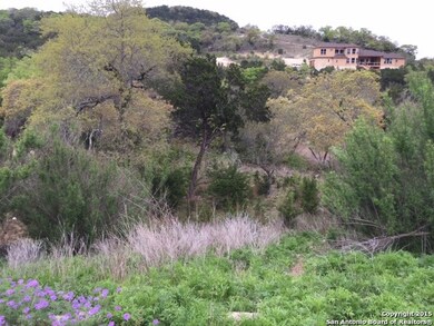 8519 Camp Verde Rio, Cross Mountain, TX 78255 - photo 7