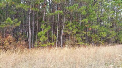 Lot S3 Wedgefield Rd, Georgetown, SC 29440 - photo 3