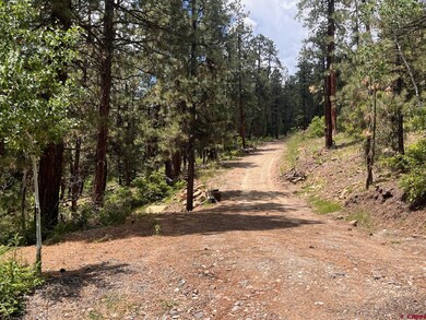 19 Glenn Ln, Durango, CO 81301 - photo 2