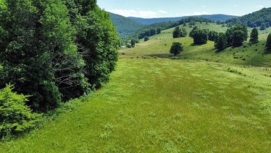 2.03 acre view3