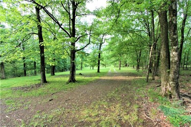 12392 Green Rd, West Fork, AR 72774 - photo 3