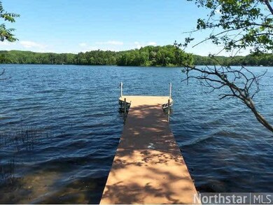 31108 Fish Trap Lake Ct, Cushing, MN 56443 - photo 4