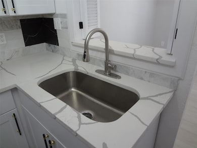 SS sink and faucet.