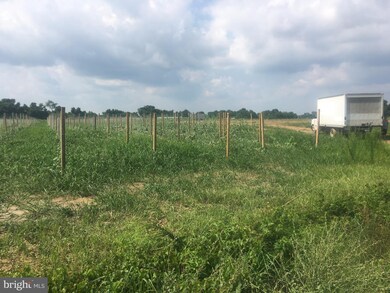 0 Cecilton Warwick Rd unit 1000105723, Warwick, MD 21912 - photo 4