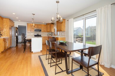 102 Croydon Ct, Oswego, IL 60543 - photo 2