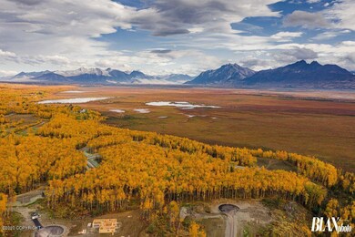 B3 L7 W Chigmit Cir, Wasilla, AK 99654 - photo 6