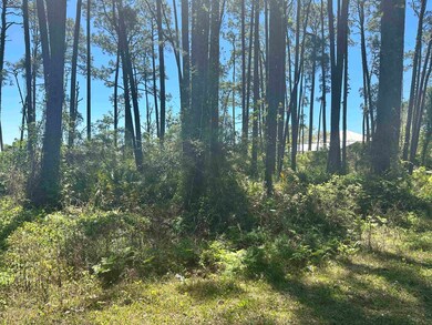 2790 Highway 98 E, Carrabelle, FL 32322 - photo 6