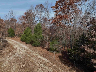 002-11055-000 Buckhead Ln, Mountain Home, AR 72653 - photo 5