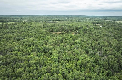 12828 Cadle Rd, Sherrill Township, MO 65542 - photo 6