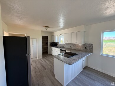 10230 W 11200 N, Tremonton, UT 84337 - photo 6