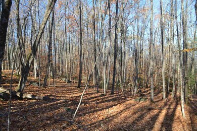 250 Chemung Rd, Meredith, NH 03253 - photo 3
