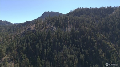 0 Old Blewett Pass Hwy, Peshastin, WA 98847 - photo 6