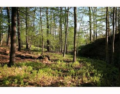 Land/Lot. walking park in Mountain Arrow