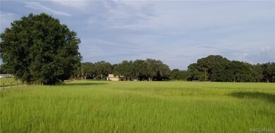 0 Sutton Oaks Ln unit 780622, Zephyrhills, FL 33541 - photo 3
