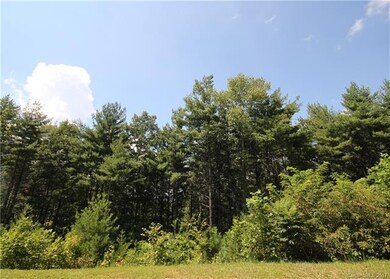 11 & 12 Spruce Tree Ct unit 15 & 19, Leicester, NC 28748 - photo 5