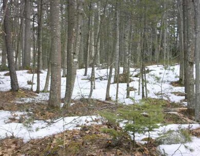Land/Lot. Lot 10 has several...