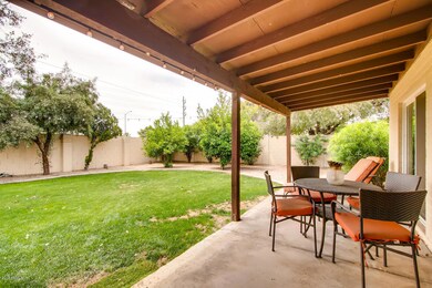 backyard a