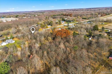 0 Imlay City Rd unit 20251054353, Lapeer, MI 48446 - photo 4