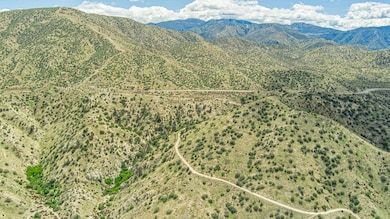 0 Mt Emma Rd unit 25002688, Acton, CA 91350 - photo 6