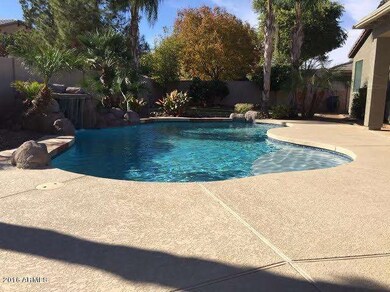Canyon Backyard2
