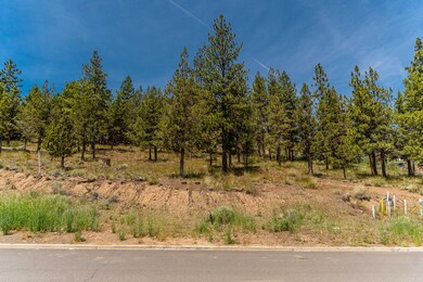 1738 SW Troon Ave.