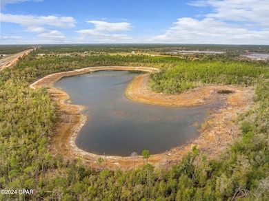 6384 Highway 77, Chipley, FL 32428 - photo 6