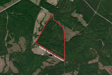 878 Joe Hudson Rd, Trinity, TX 75862 - photo 2