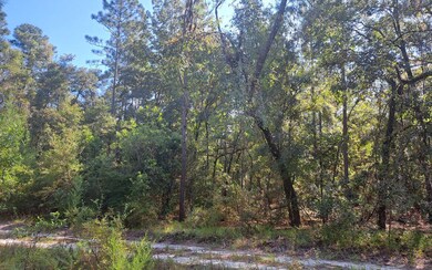 TBD 29th Place, Branford, FL 32008 - photo 5