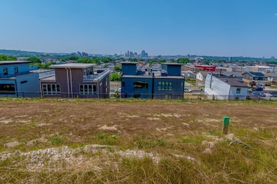 77 W 14th St unit Lot 50, Newport, KY 41071 - photo 5