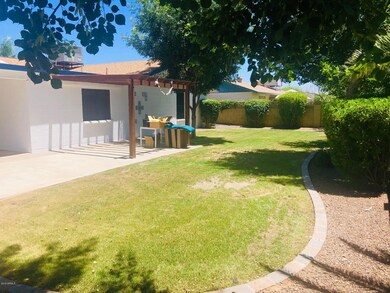 Backyard 1