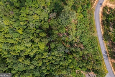 LT 275 Highgrove Dr, Talking Rock, GA 30175 - photo 4