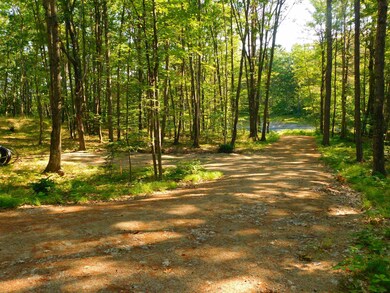 207 Route 16 Hwy, Ossipee, NH 03864 - photo 2