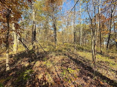 0 E Little Forest Run Rd, Reedsville, OH 45772 - photo 3