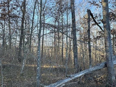 TBD N Pow Rd, Springbrook, WI 54875 - photo 7