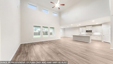 15304 Sandhill Crane Ln, Shenandoah, TX 77384 - photo 5