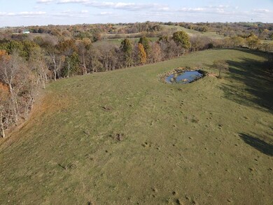 471 Morgan Hightower Rd, Pendletn Cnty, KY 41040 - photo 4