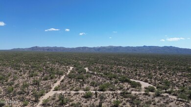 DJI_0135