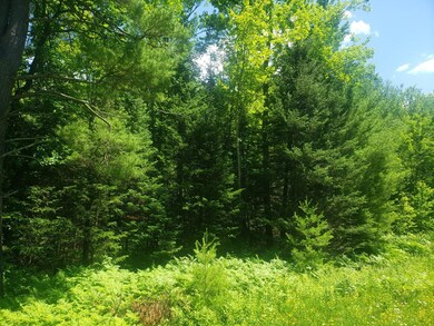 Lot 3 Sanctuary Rd, Tomahawk, WI 54487 - photo 4