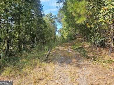 1394 Spring Place Rd, Rydal, GA 30171 - photo 7