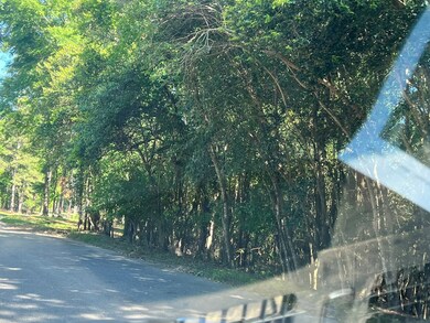 0 University Ave unit 25726, Troy, GA 30681 - photo 4