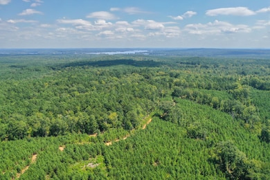 0 Old Windmill Rd unit 24711444, Ridgeway, SC 29130 - photo 4