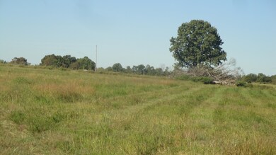 DSC06941