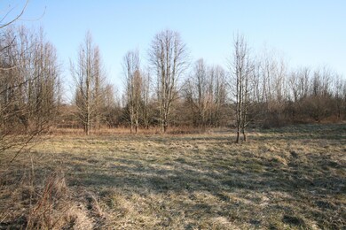 Land1
