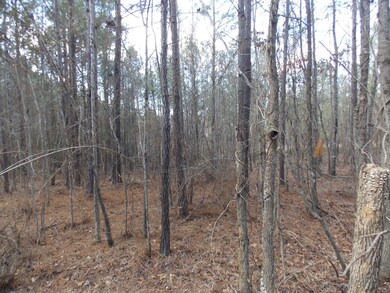 3 Fortson Rd, Lincolnton, GA 30817 - photo 3